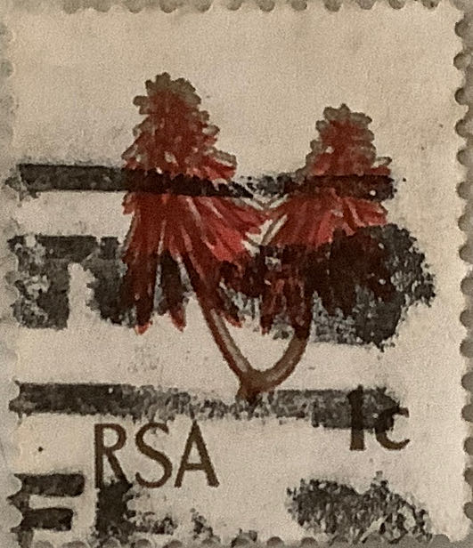 Buffalo Check - Full Background