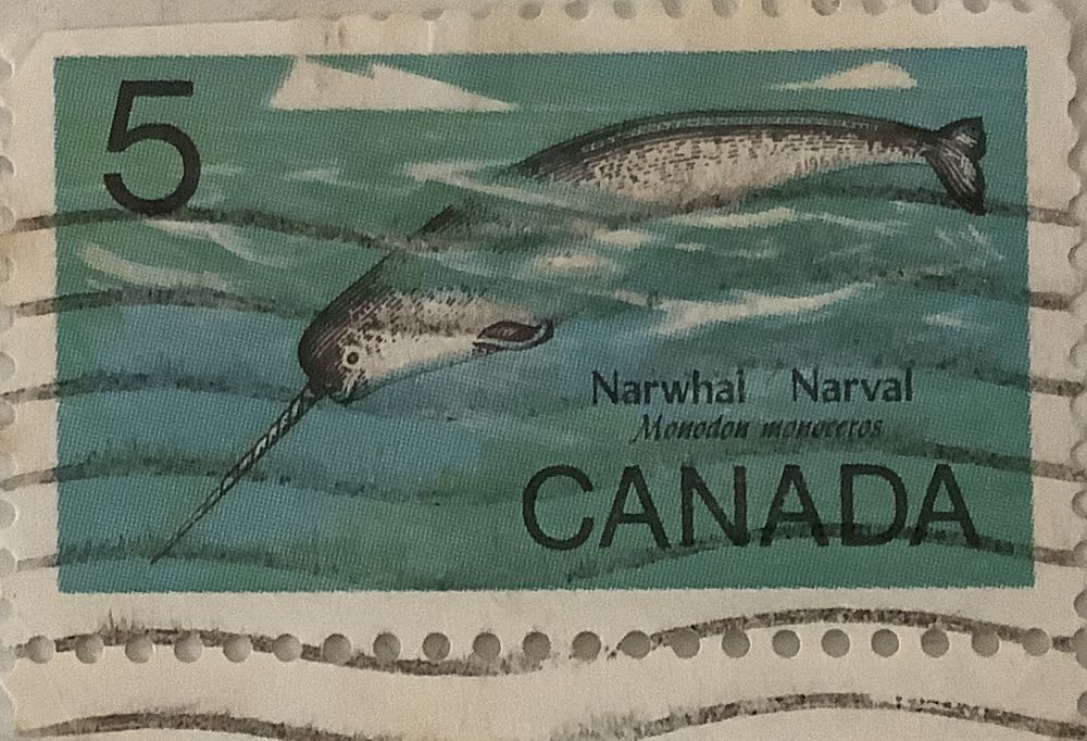 Hot Wheels: Dedra II 