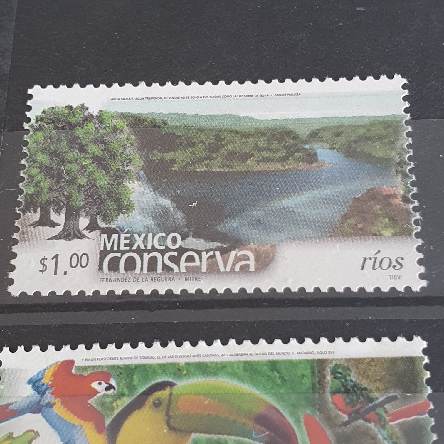 Hari Raya Aidilfitri