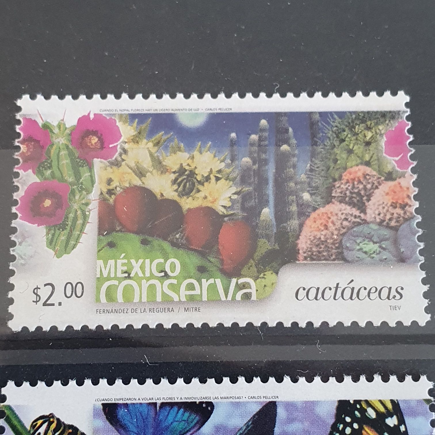 México Conserva Cactaceas  stamp collectible - Main Image 2