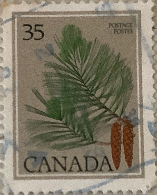 Charlie Brown Christmas, A