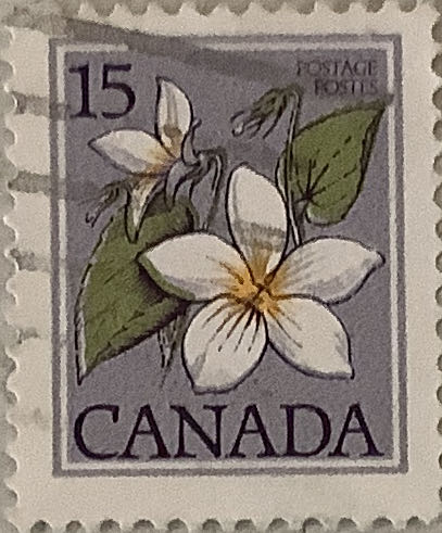 Stamp Pack Australia 101 Dalmatians Self Adhesive Stamps