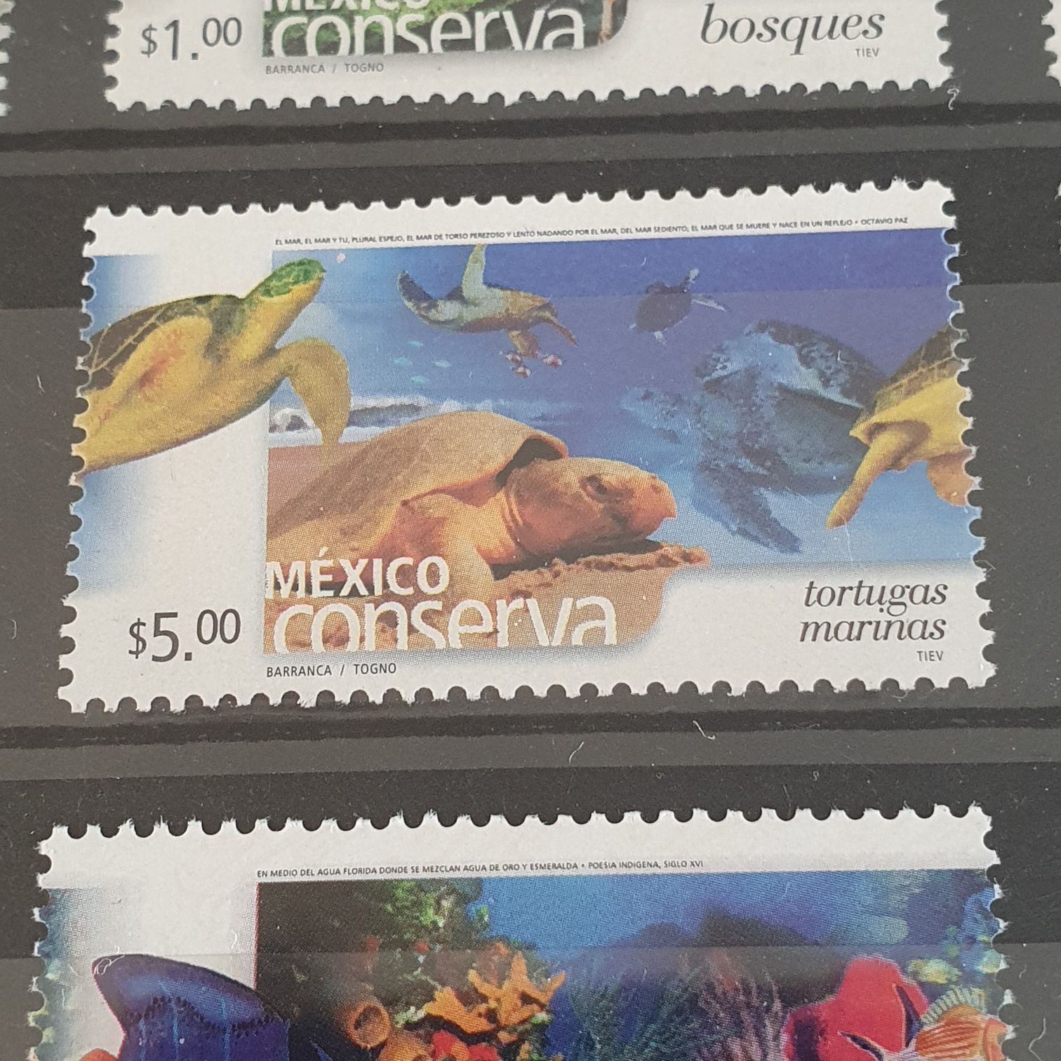 México Creación Popular