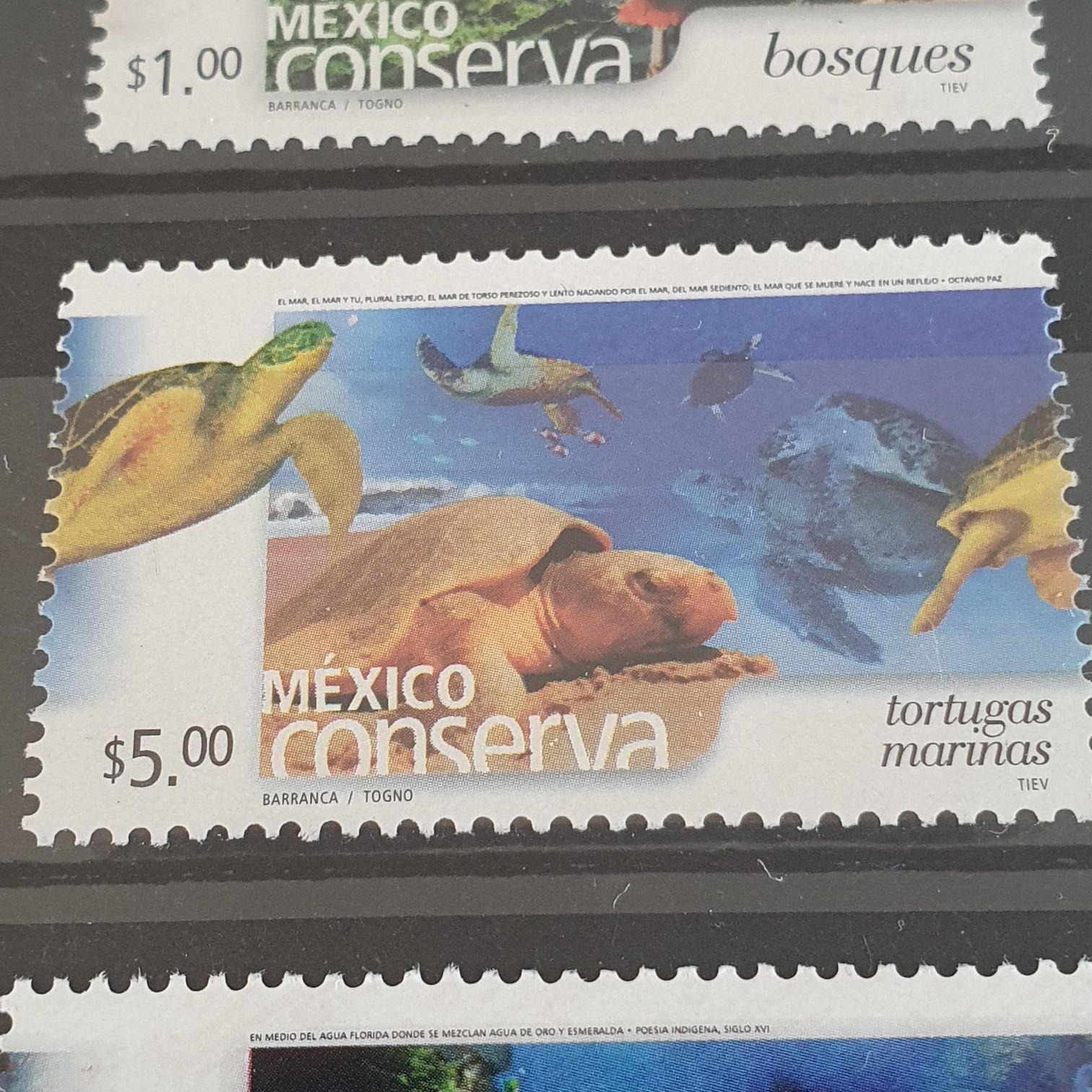 México Conserva Tortugas Marinas  stamp collectible - Main Image 2