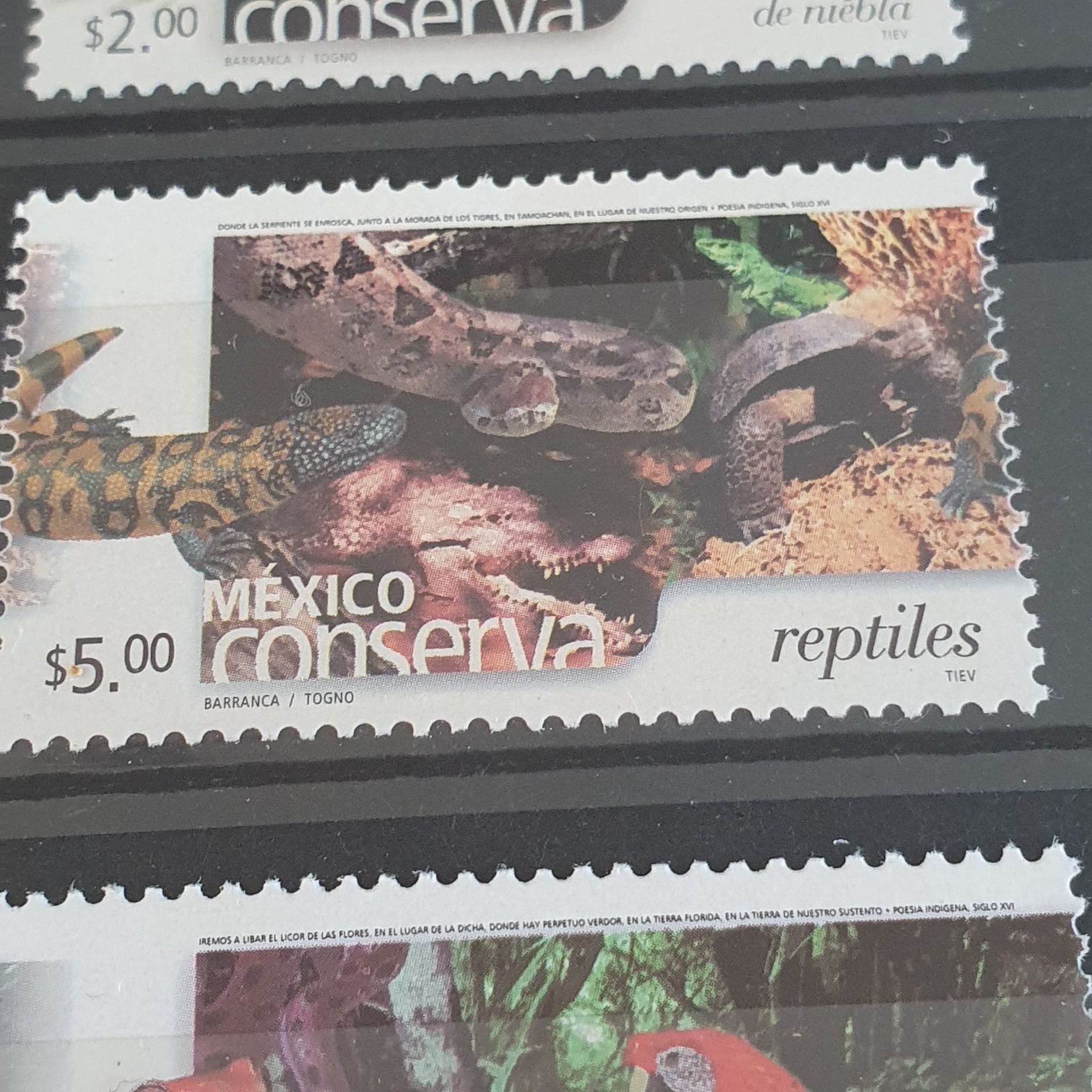 Homenaje Y Reconocimiento De La Ciencia Al Dr Sigmund Freud