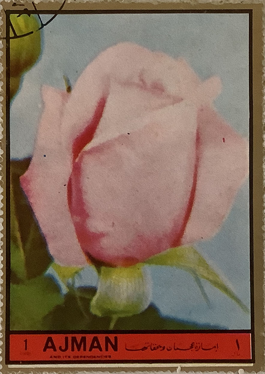 Stripes Baby Tiger 1995 Rare Retired Original 1995 Stripes Bengal Tiger 1995 Ty Beanie Baby Stripes The Bengal