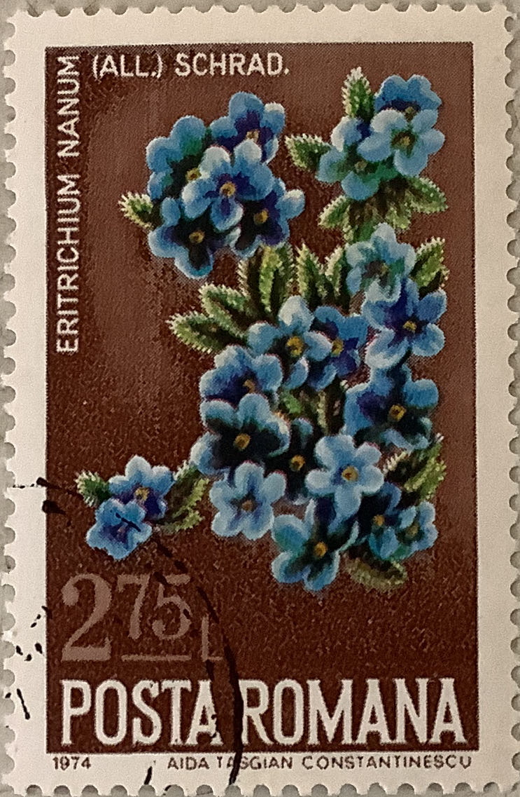 Mineral Heritage: Amethyst