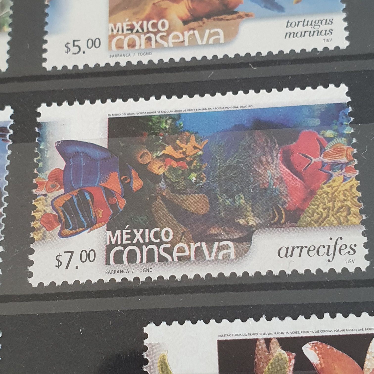 Women Help America’s Sons Win The War