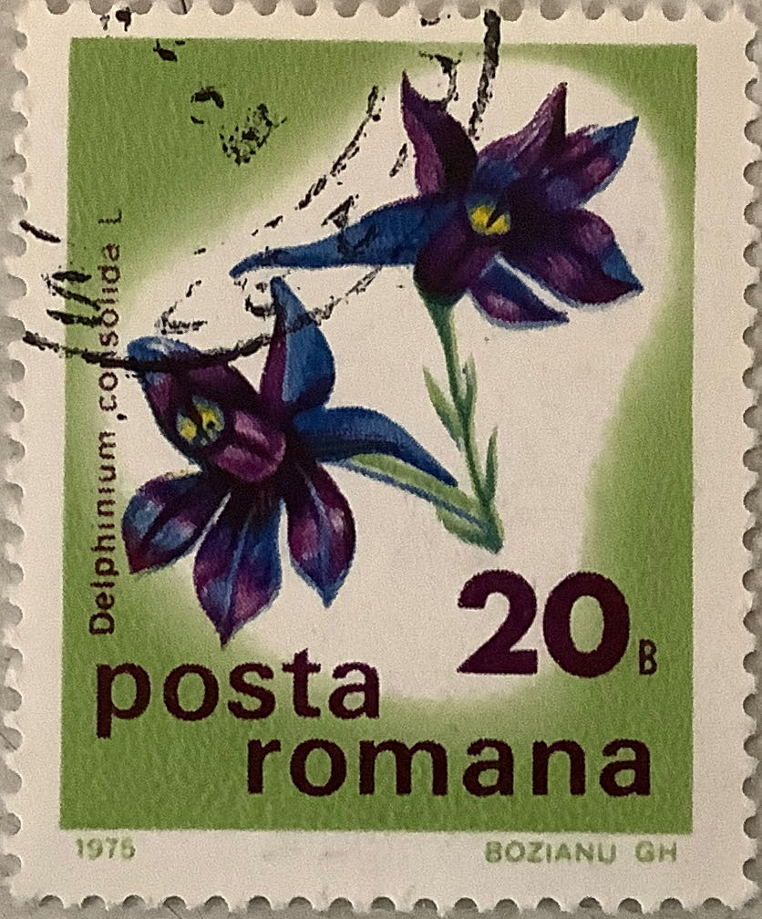 Australian Antarctic Territory