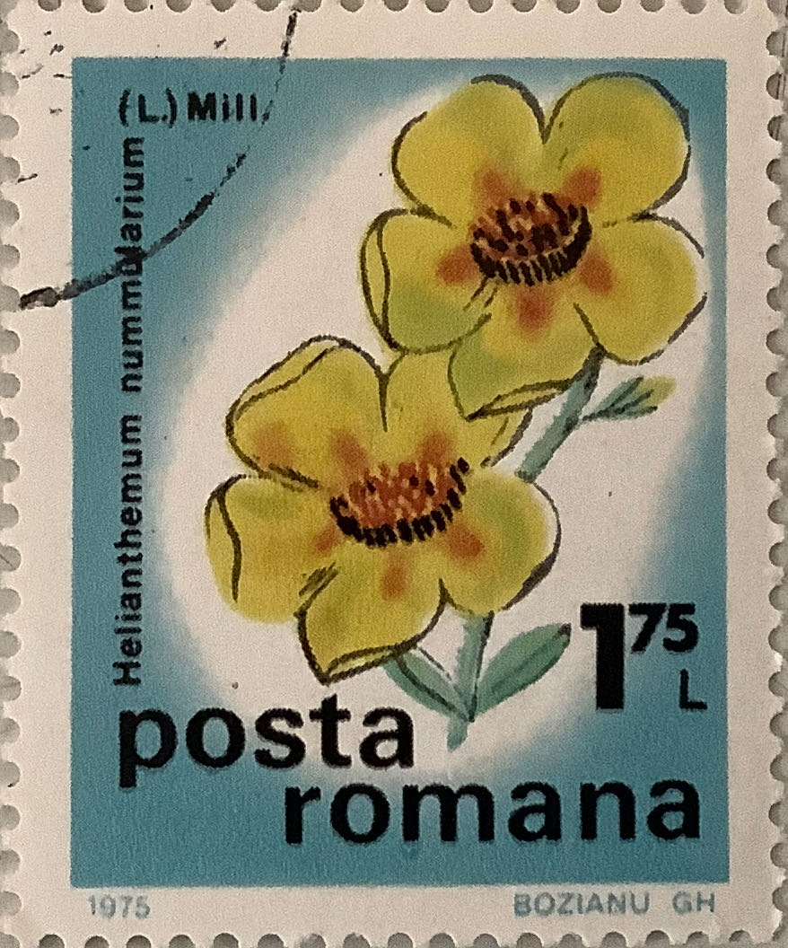 South African Architecture