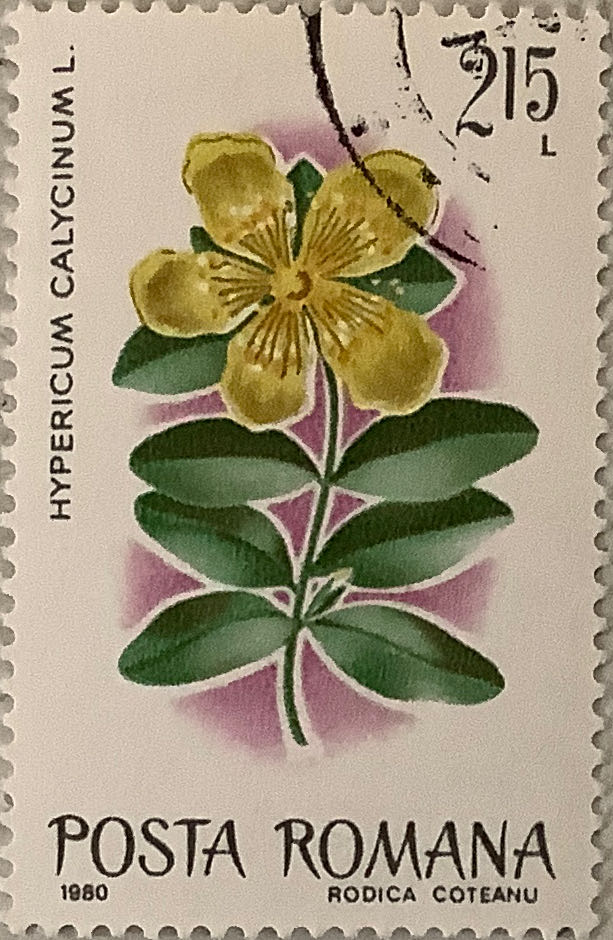 Pokemon Trading Cards 25th Anniversary Tin