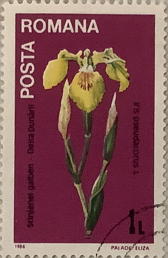 Austria: Mariazell Church