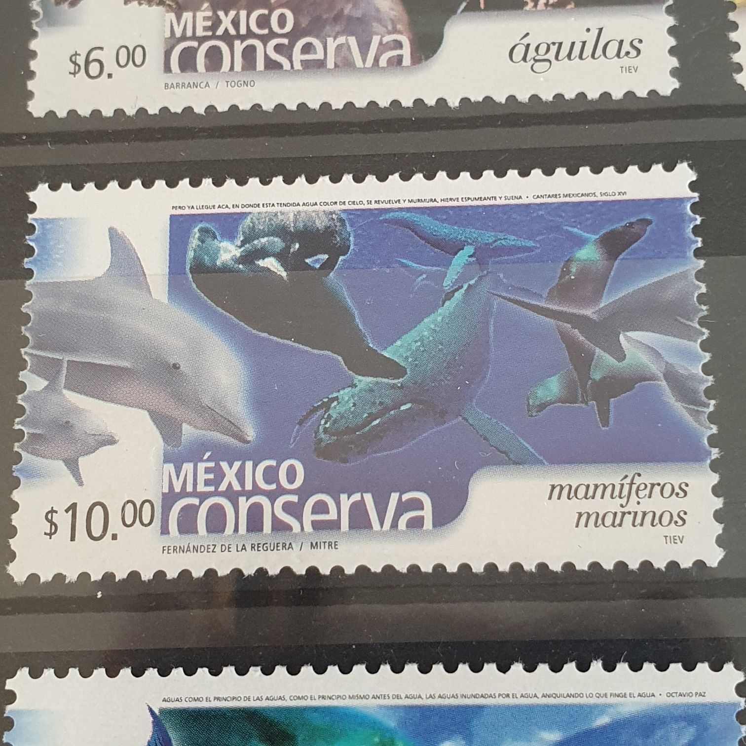 Tongariro National Park