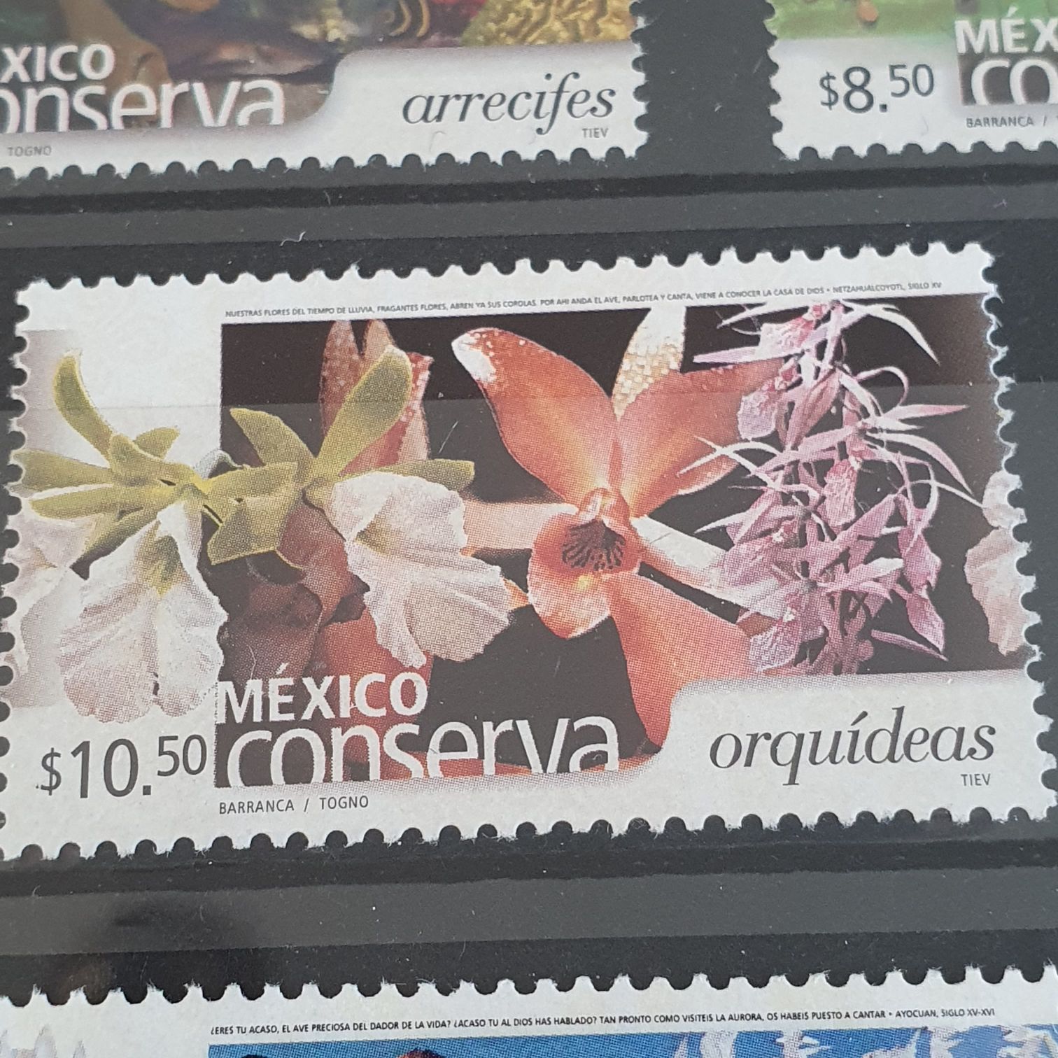 México 68