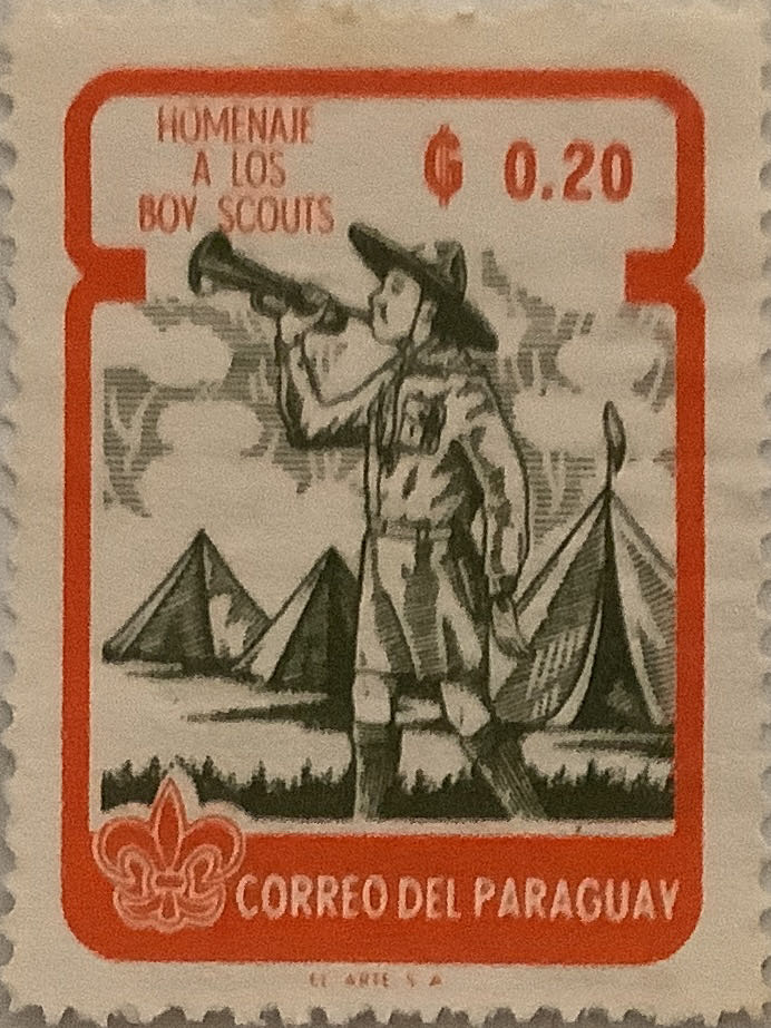 Collared Scops Owl Hong Kong, China