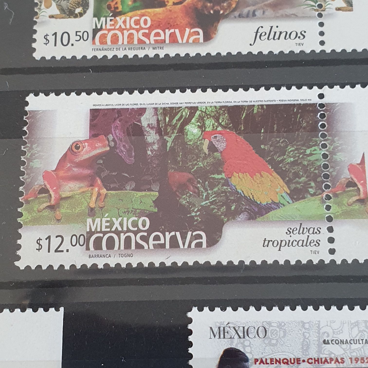 Sharing Sweet Thoughts