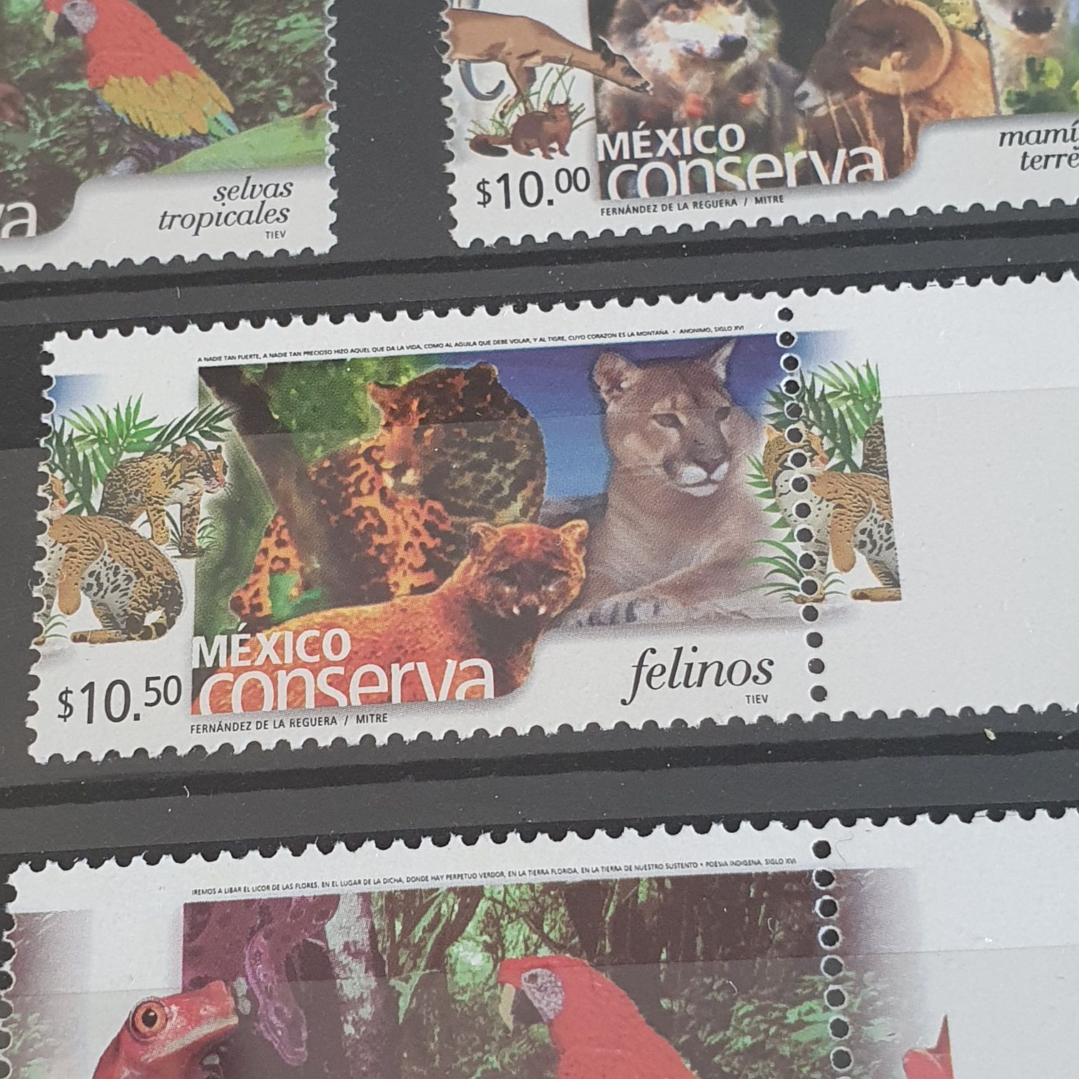 México Conserva Felinos  stamp collectible - Main Image 2