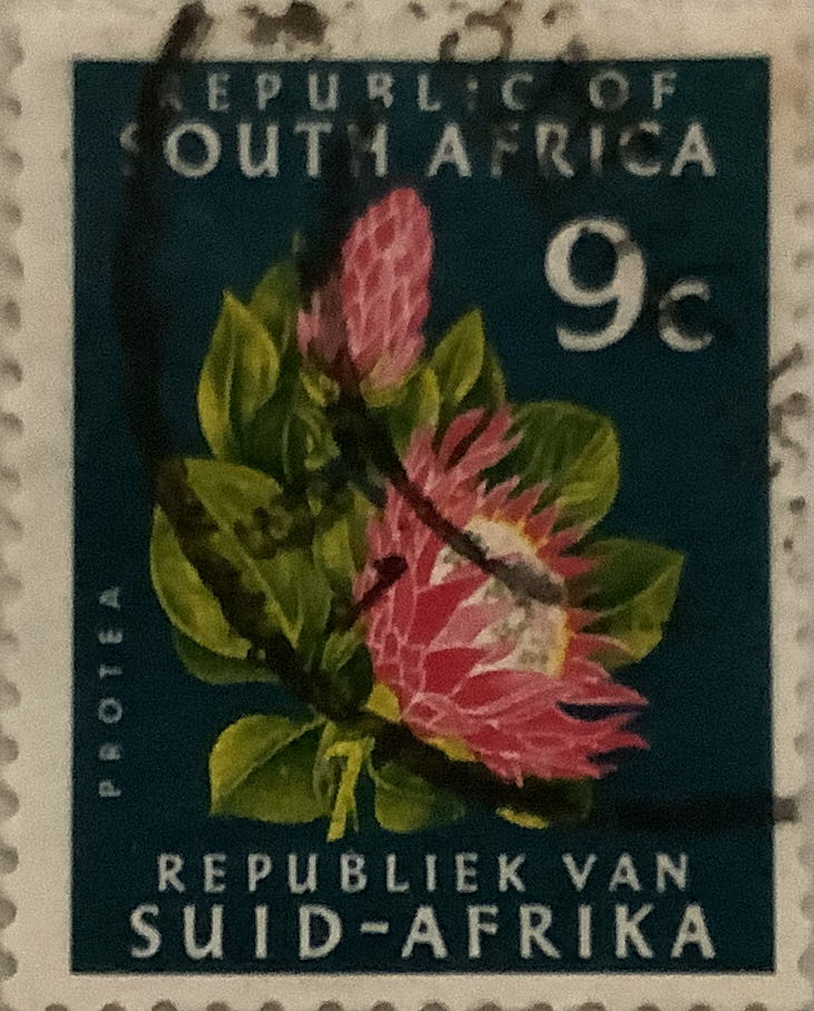 Fisherman - Fishing Worker