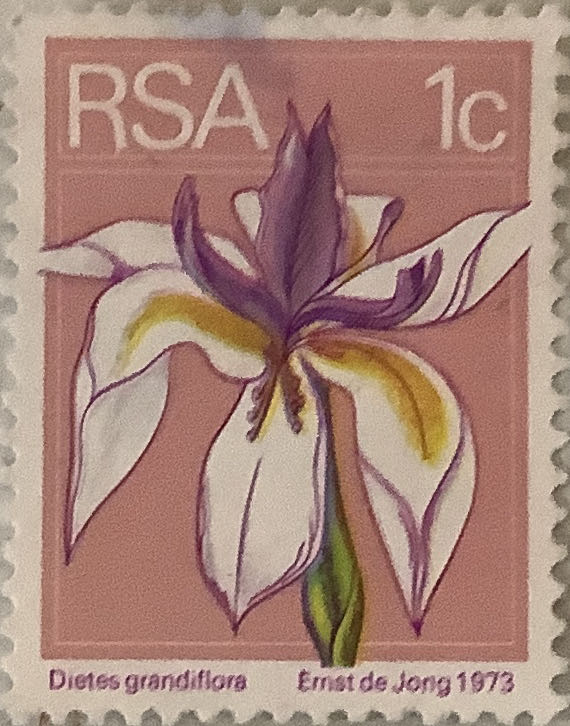 Bobbi In De Zomer Xl Boek