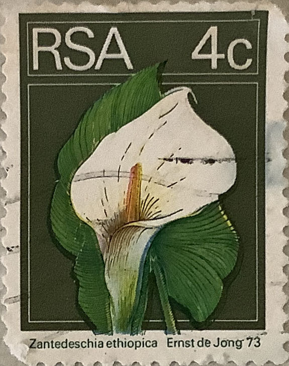 Swiss Alps Children In Traffic