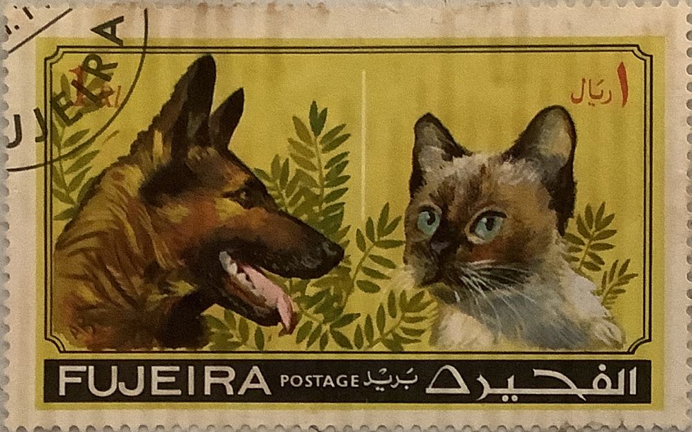 Local Motifs Flowers