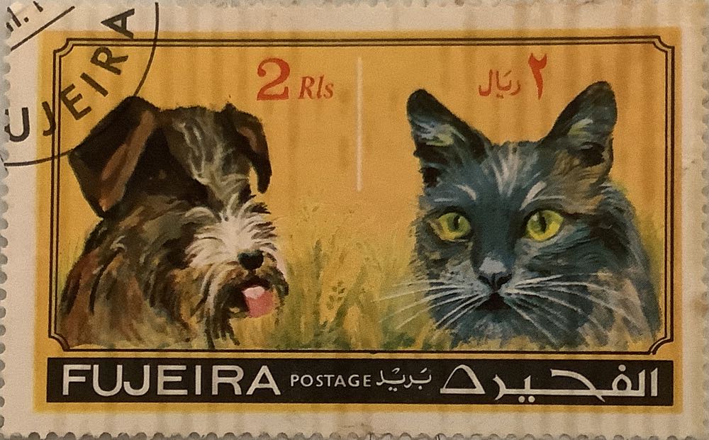 Dxent 746 Control Cable For Mtd 946 Troy Bilt Tb120 Tb270es Tb280es Tb542 Tb566 Craftsman Bolens Yard Machines Huskee Lawn Mower