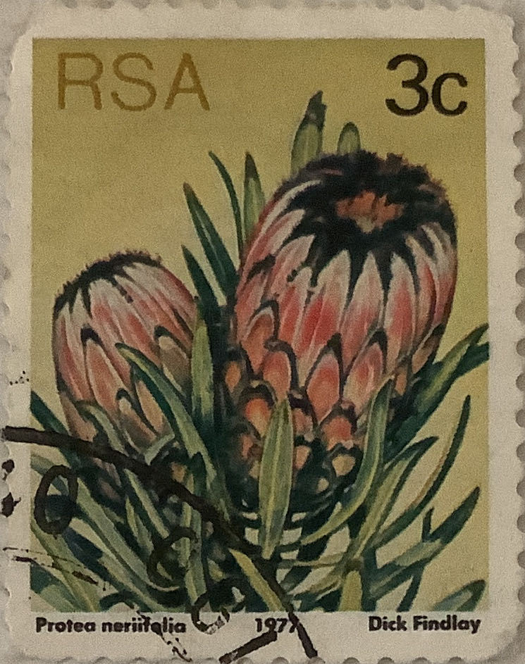 50th Anniversary Of The British Legion