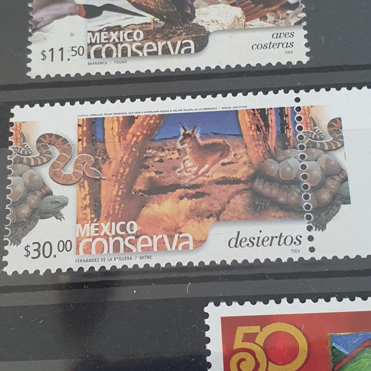 50 Años Lozano Grupo Lozano Hnos