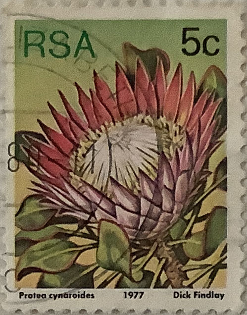 Work Accident Prevention