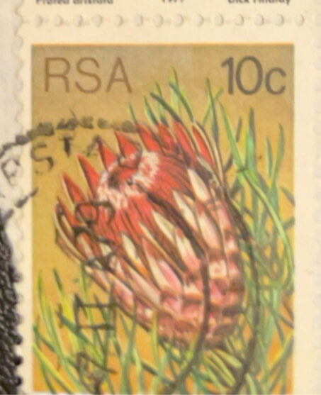 Flora Protea Plants  stamp collectible - Main Image 2