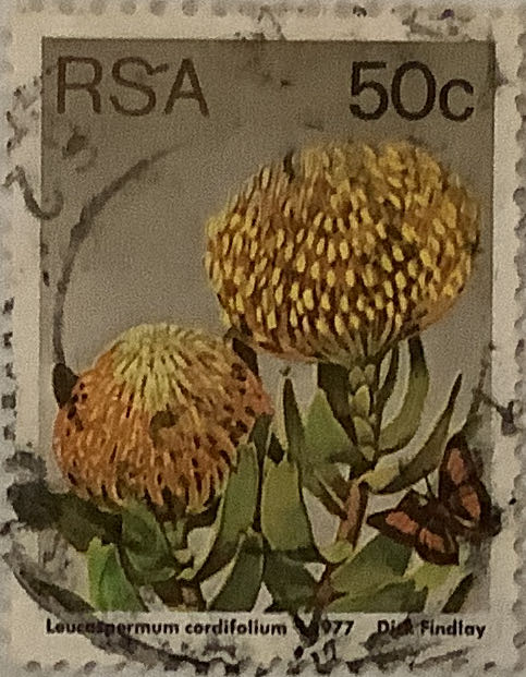 Magma Tiles - Bakeshop