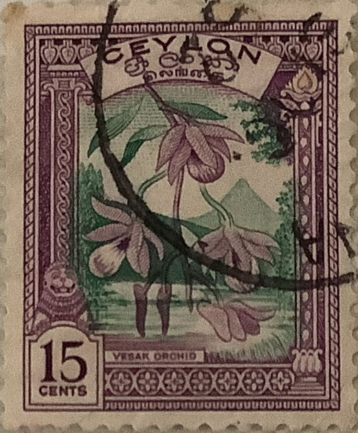 Chip Ty Beanie Babies Chip The Cat