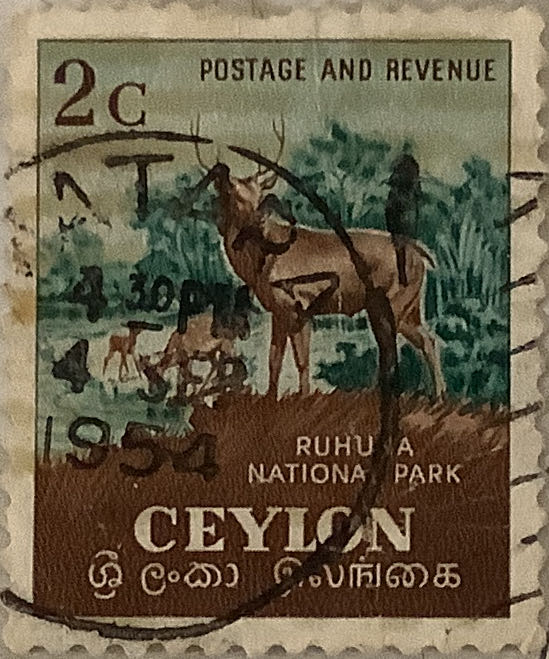 Go For Broke: Japanese Soldiers Of World War II