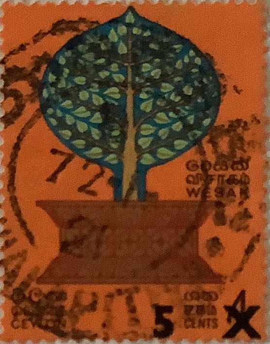 The Lady Of Siracusana