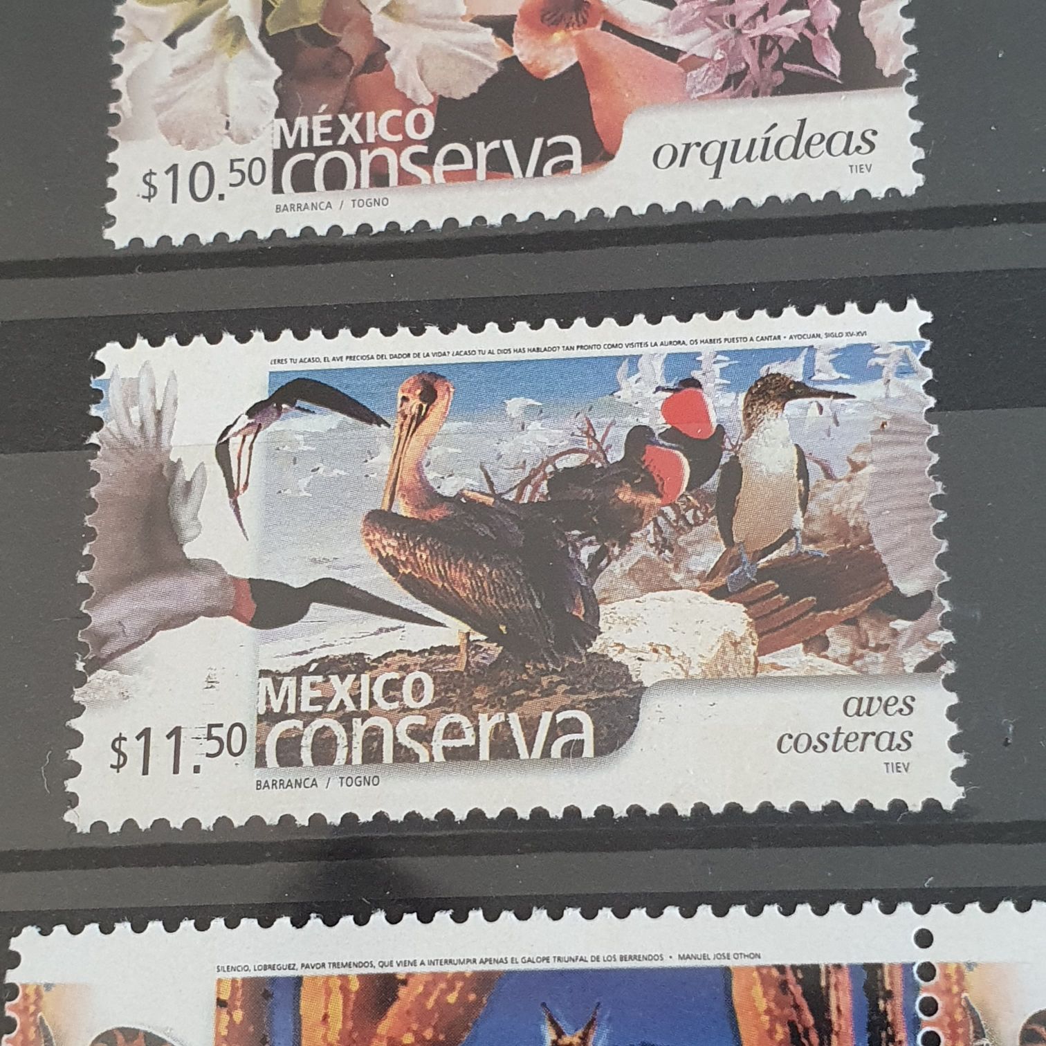 México Conserva Aves Costeras  stamp collectible - Main Image 2