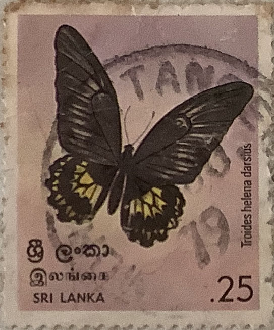 Illyushin 2 Jet Lamding