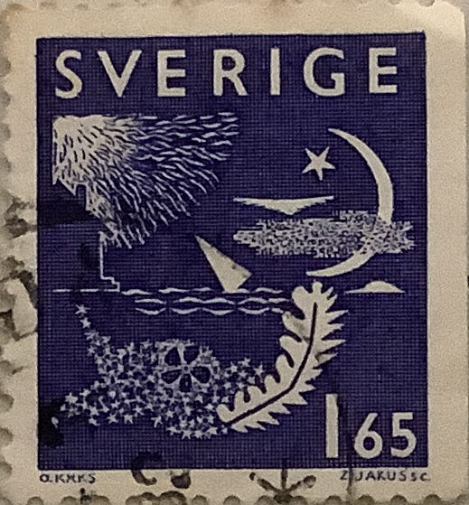 Flowers From The Garden: Blue Hydrangeas In Blue Pot