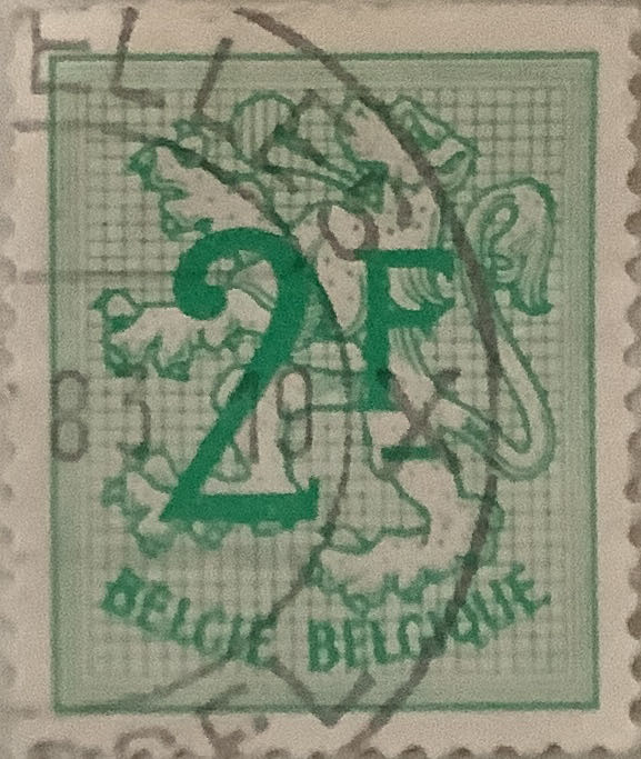 Birds And Marine Life