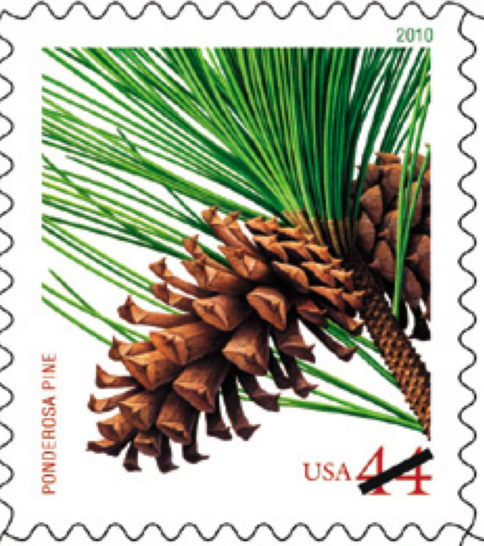 Brown Seal Of NSW Centenary Of The First Australian Stamp