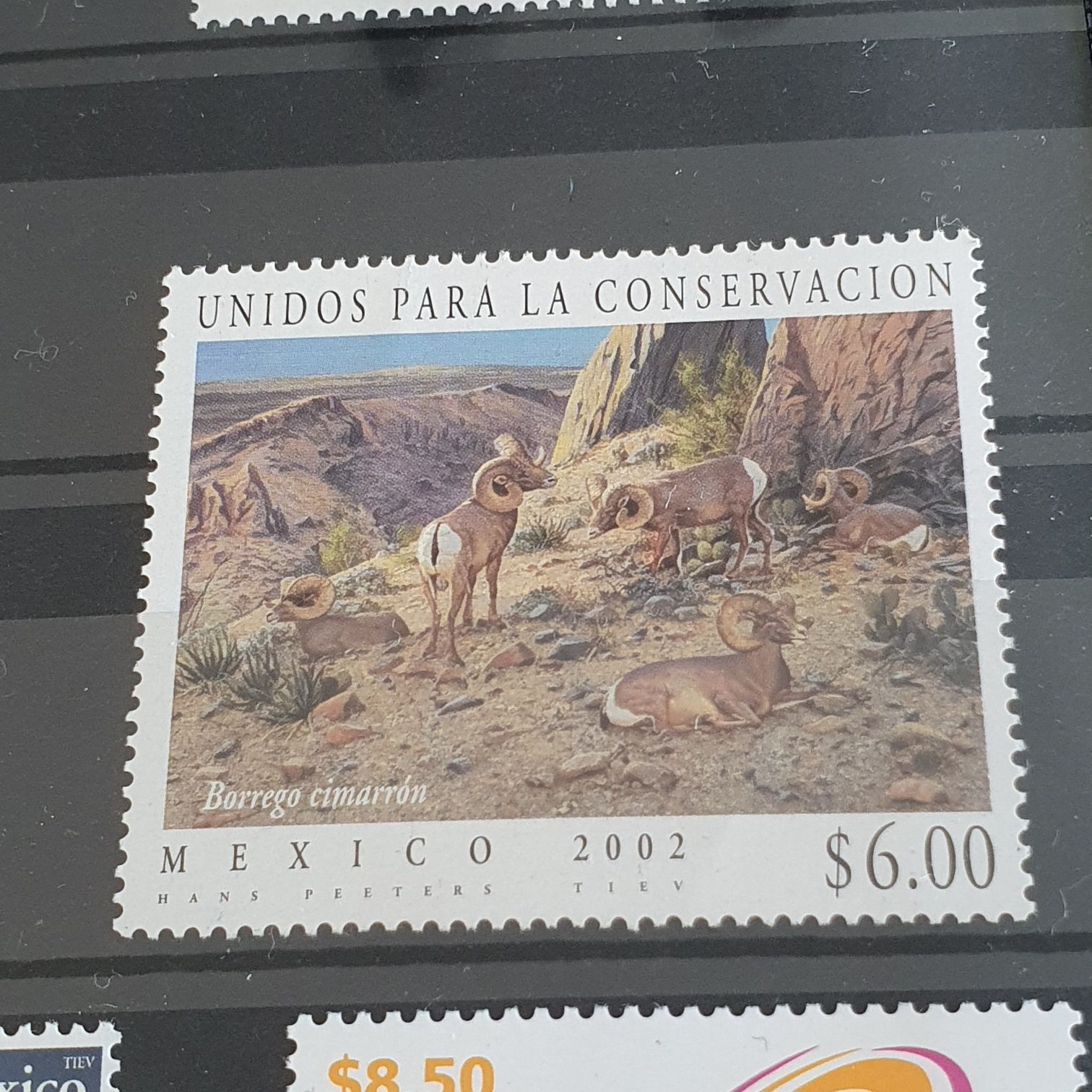 Grandes Obras De Infraestructura Carretera