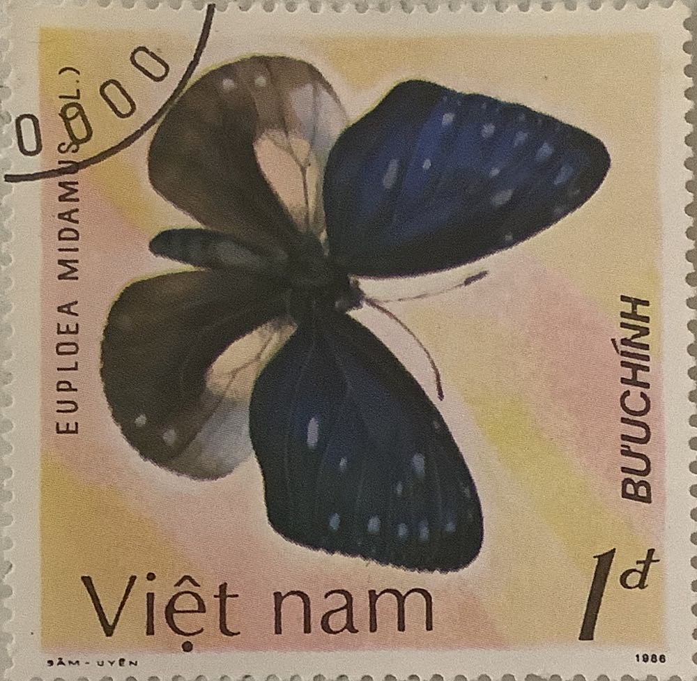 Hot Wheels Boulevard #58 Toyota 4runner #58 Boulevard Hot Wheels Premium Toyota 4runner Black Rr