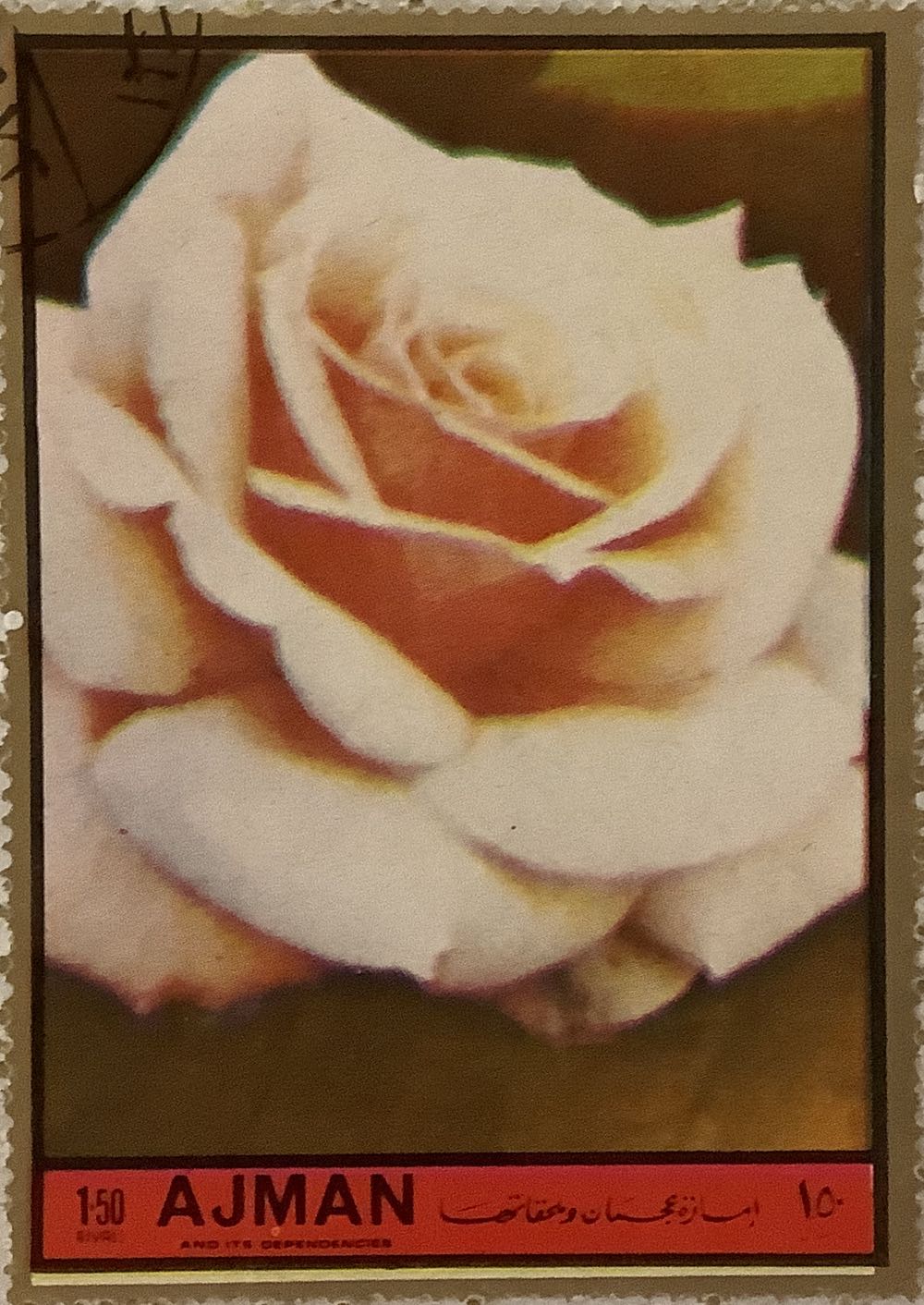 The 100th Anniversary Of The National Geology Institute