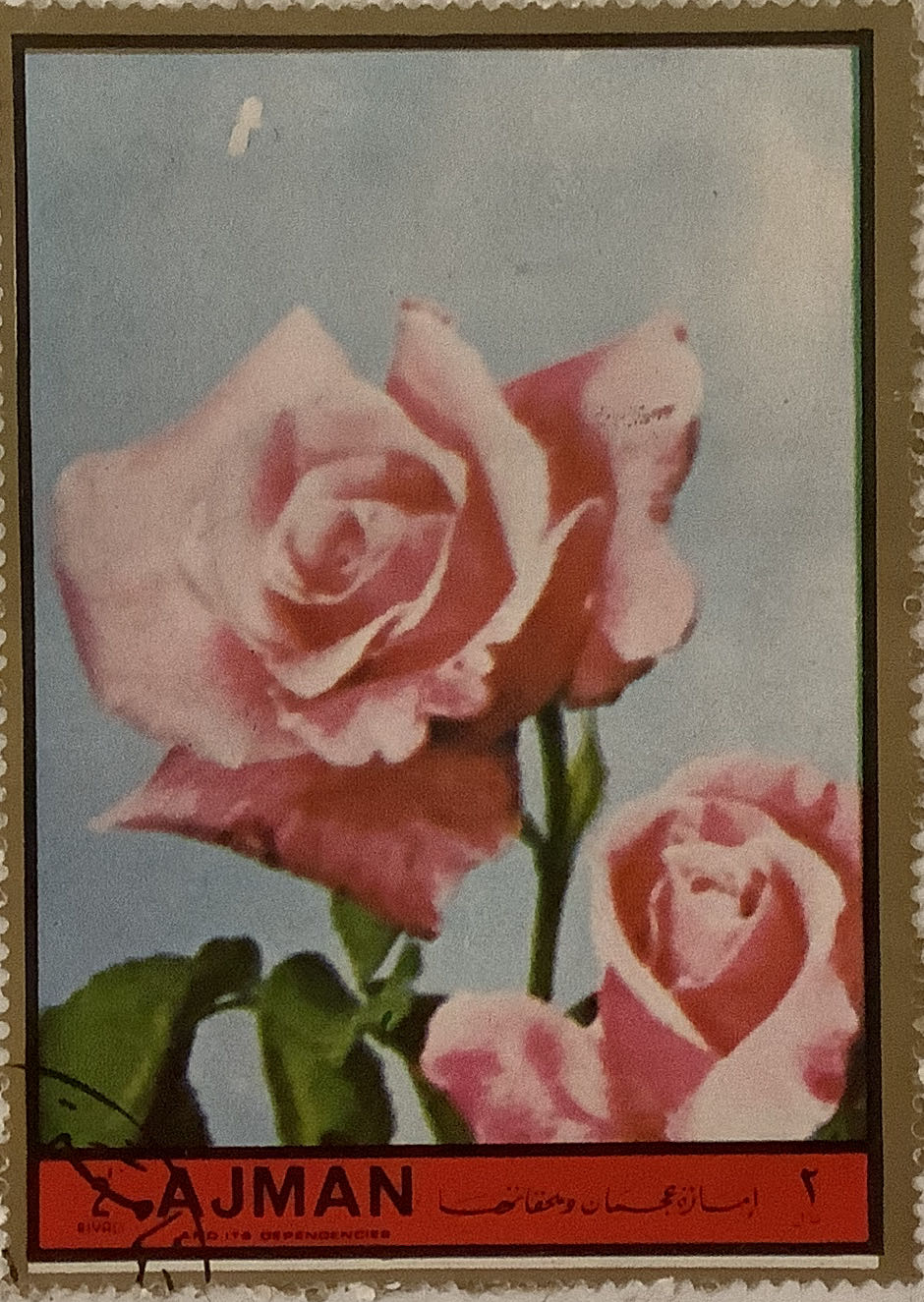 Australian stamp 1913 2 two pence King George red 

