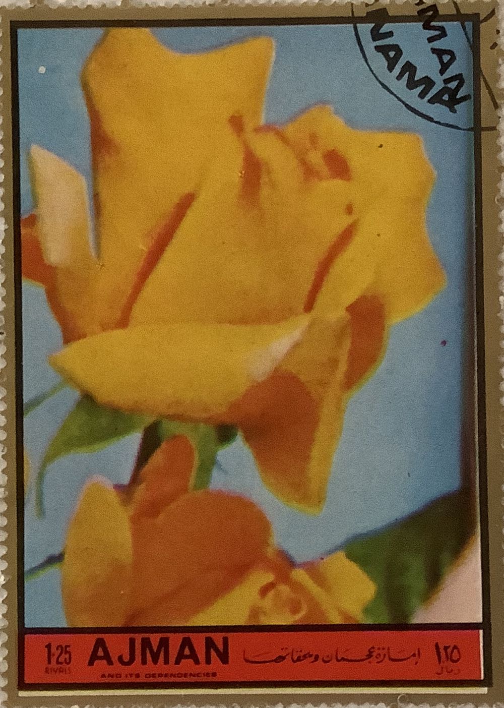 The 50th Anniversary Of The Legacy Organization