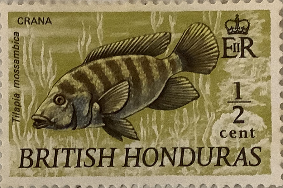 Australian Antarctic Territory