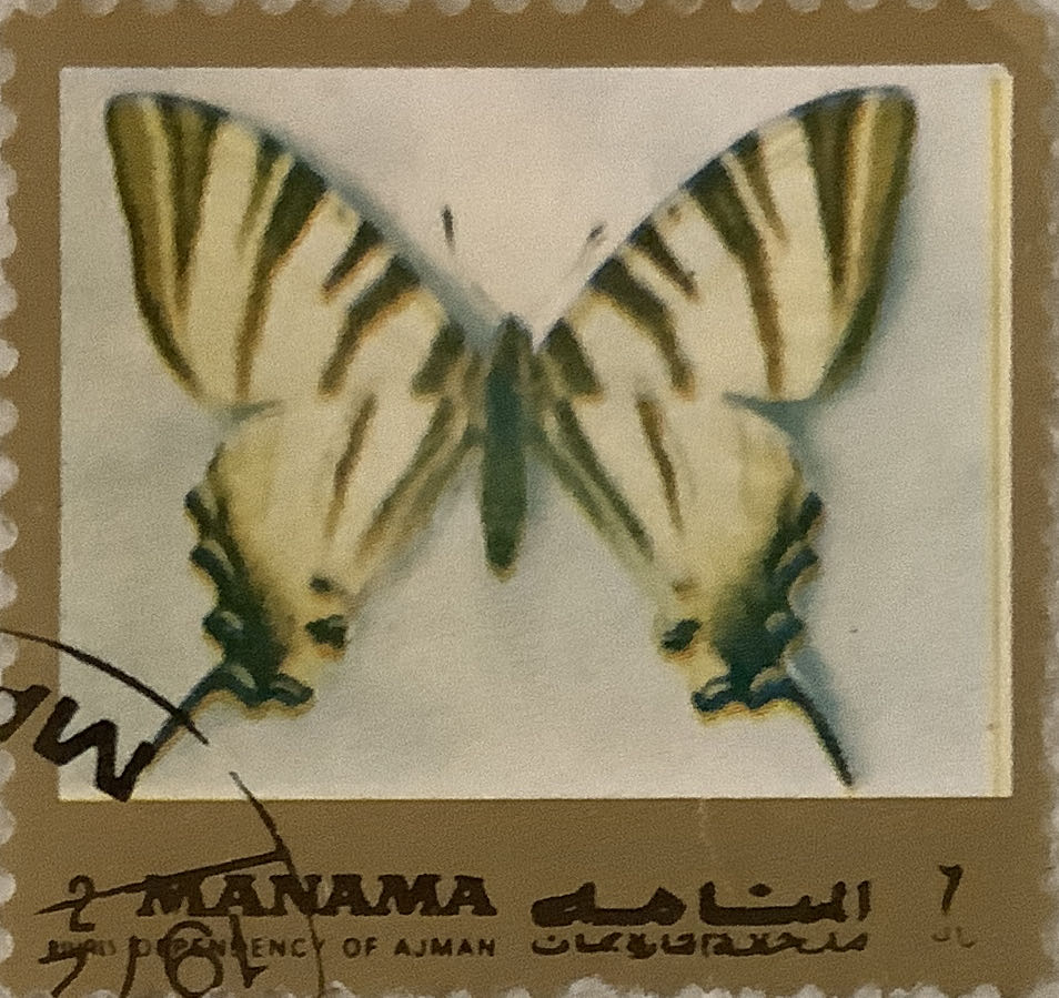 King Victor Emanuel 111