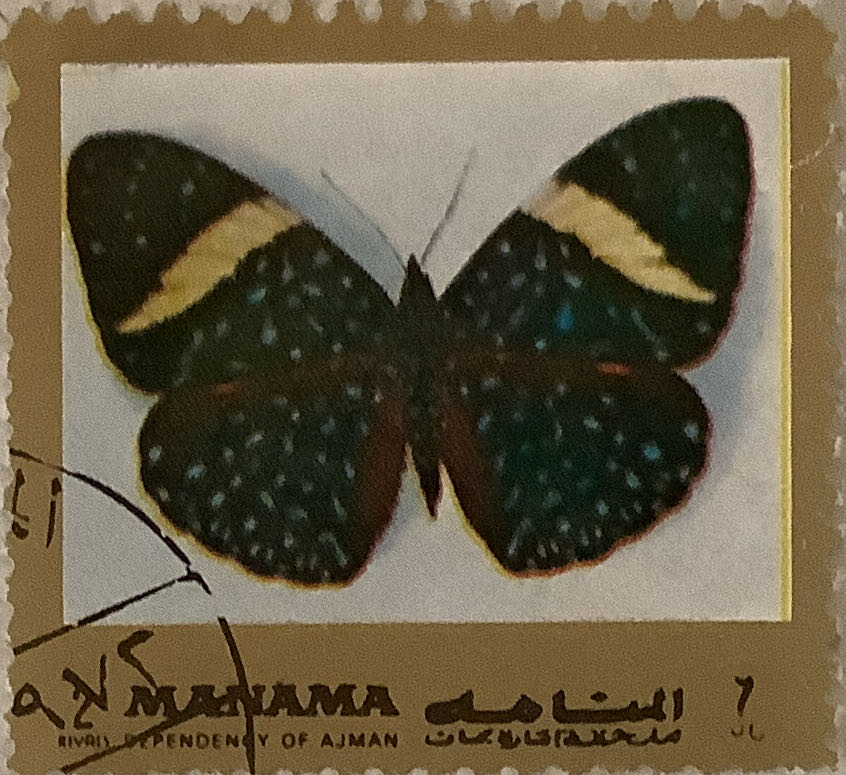 Chateau De Maintenon