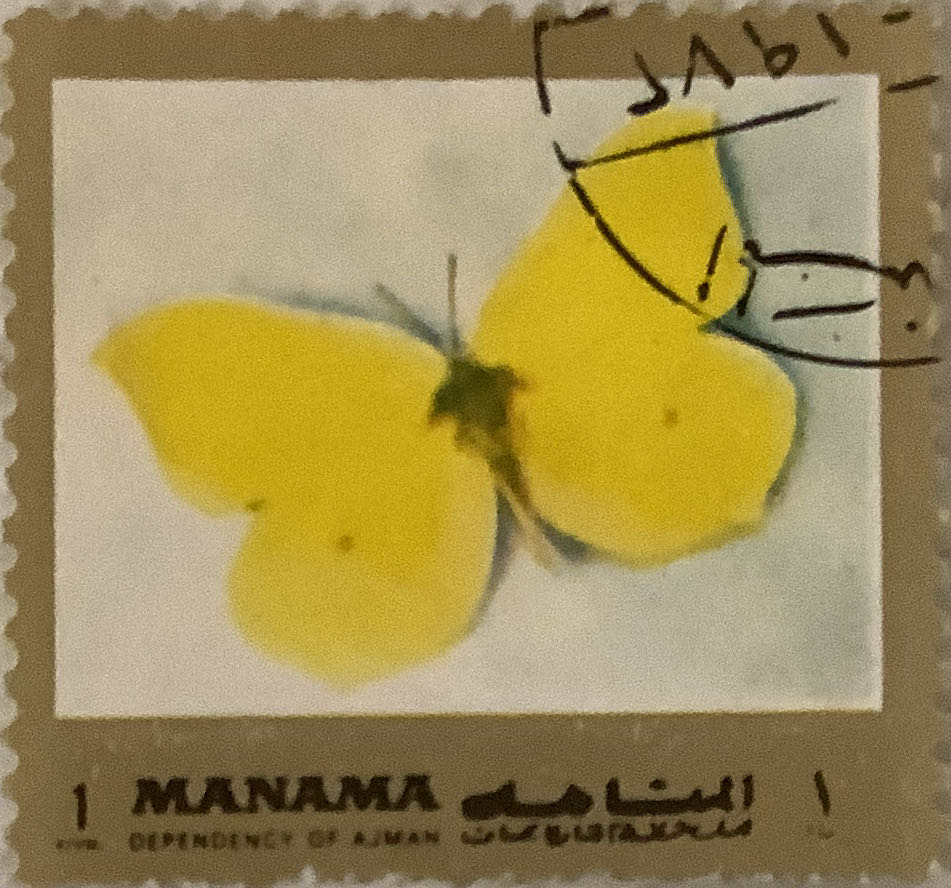 Plane Flying Over Damascus