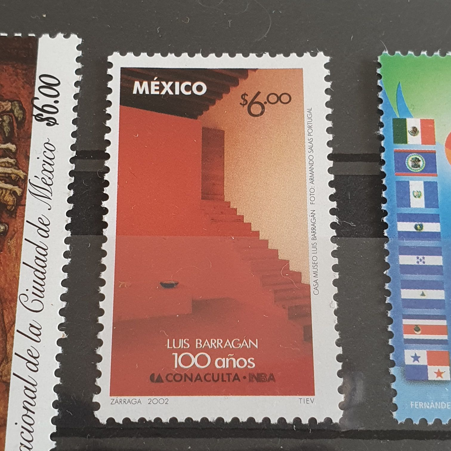 4460a. Animal Rescue: Adopt a Shelter Pet