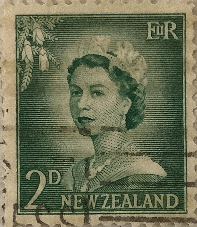 Argyropelcecus Gigas Giant Hatchet Fish